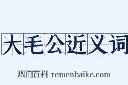 大毛公近义词是什么意思的图片